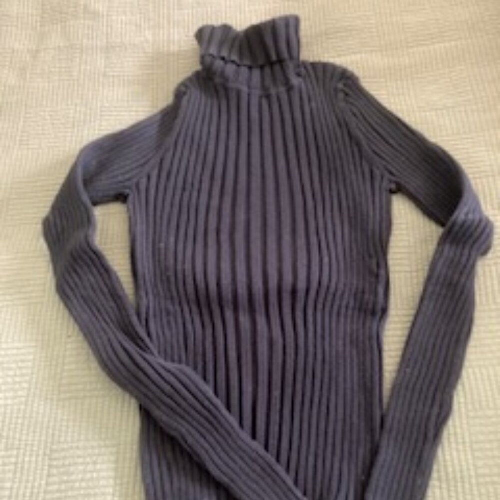 Athleta turtleneck